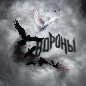Начитанный</span> - Вороны