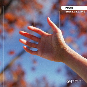 Ömer Said</span> - Pulse ft Anik-D